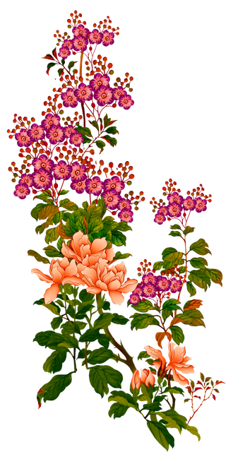 00ffe2d6e4f018fb9bb1394e935a6817.png