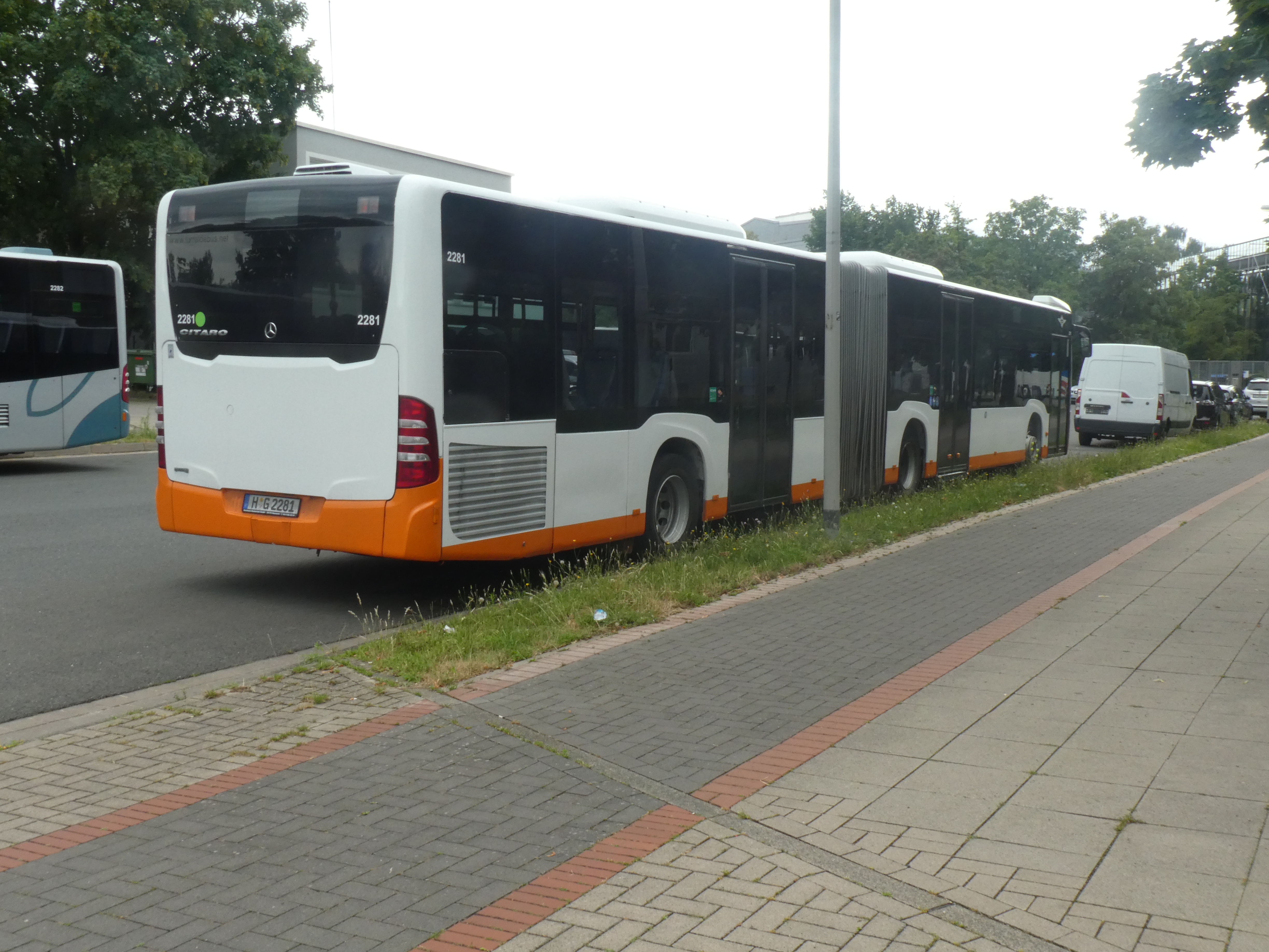 i.ibb.co/yc2m4vsW/Hartmann-2281-13.jpg