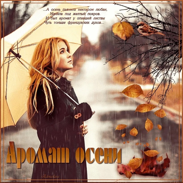 https://i.ibb.co/yc2xSTQ6/IMG-2118.jpg