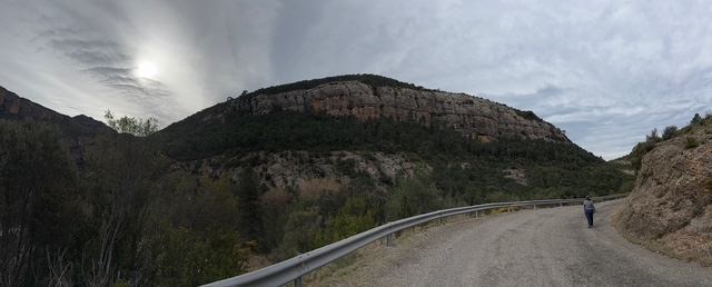 IMG 0296.jpg
