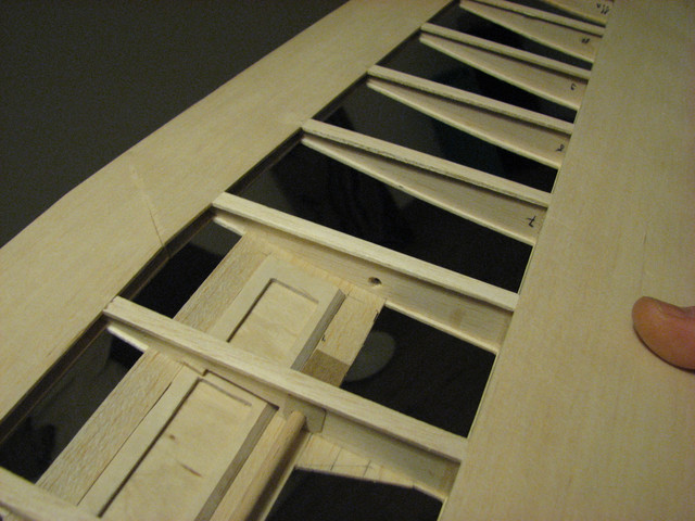 IMG-0517.jpg