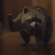 Smart-Select-20250127-061408-Firefox