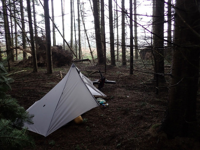 P3220441.jpg