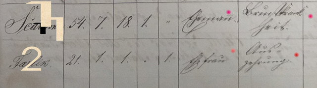 19