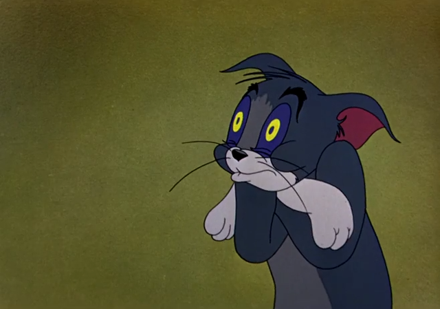 Tom-Sleep-Meme-04