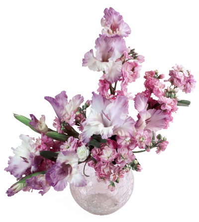 f356ce3be606.png