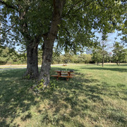 IMG 7987