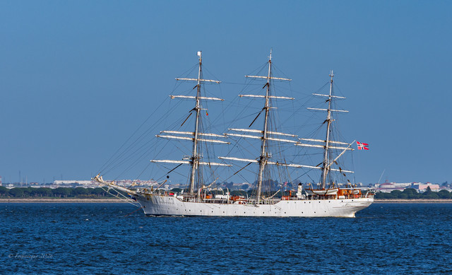 DSF5698.jpg