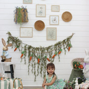 IMG-6528