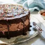 Triple Chocolate Ice Cream Cake Recipe Revealed