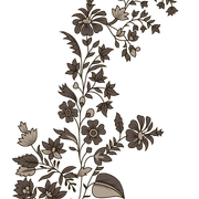 560
