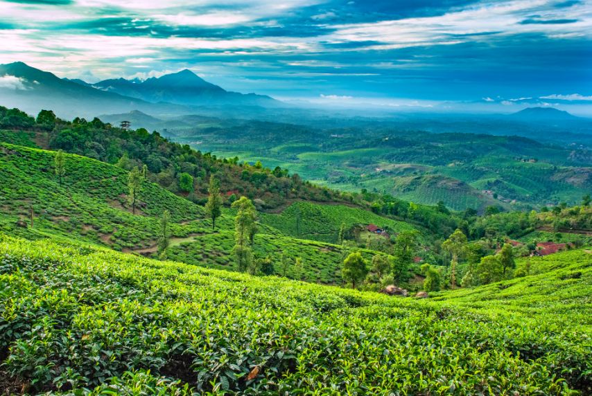 Monsoon Wayanad