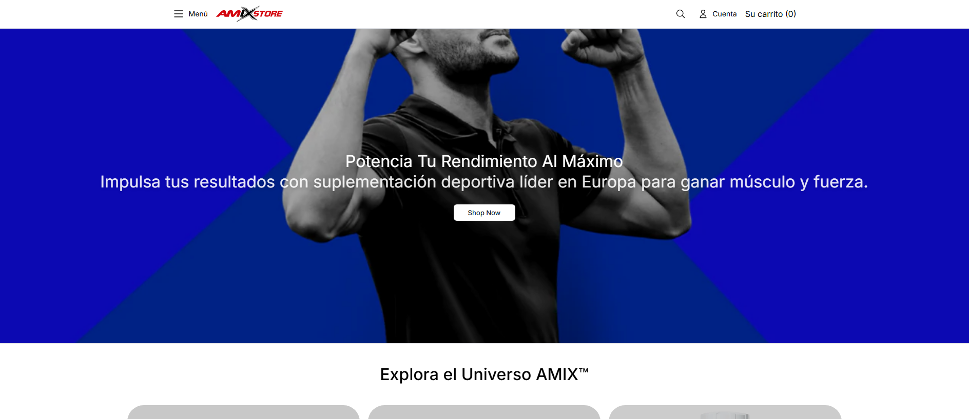 Stored capture of amixofficial.shop