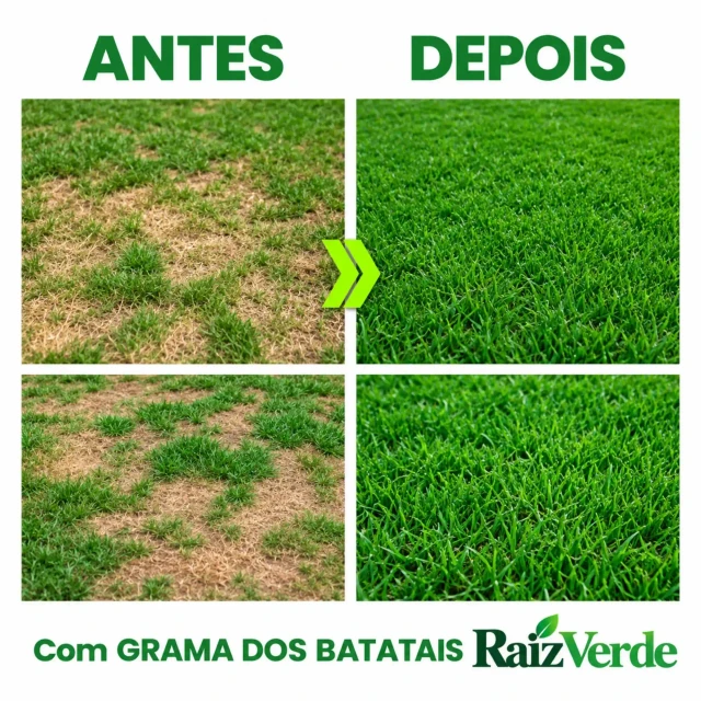 RaizVerde™ 3