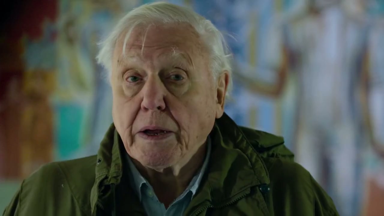 David Attenborough: A Life on Our Planet Screenshot