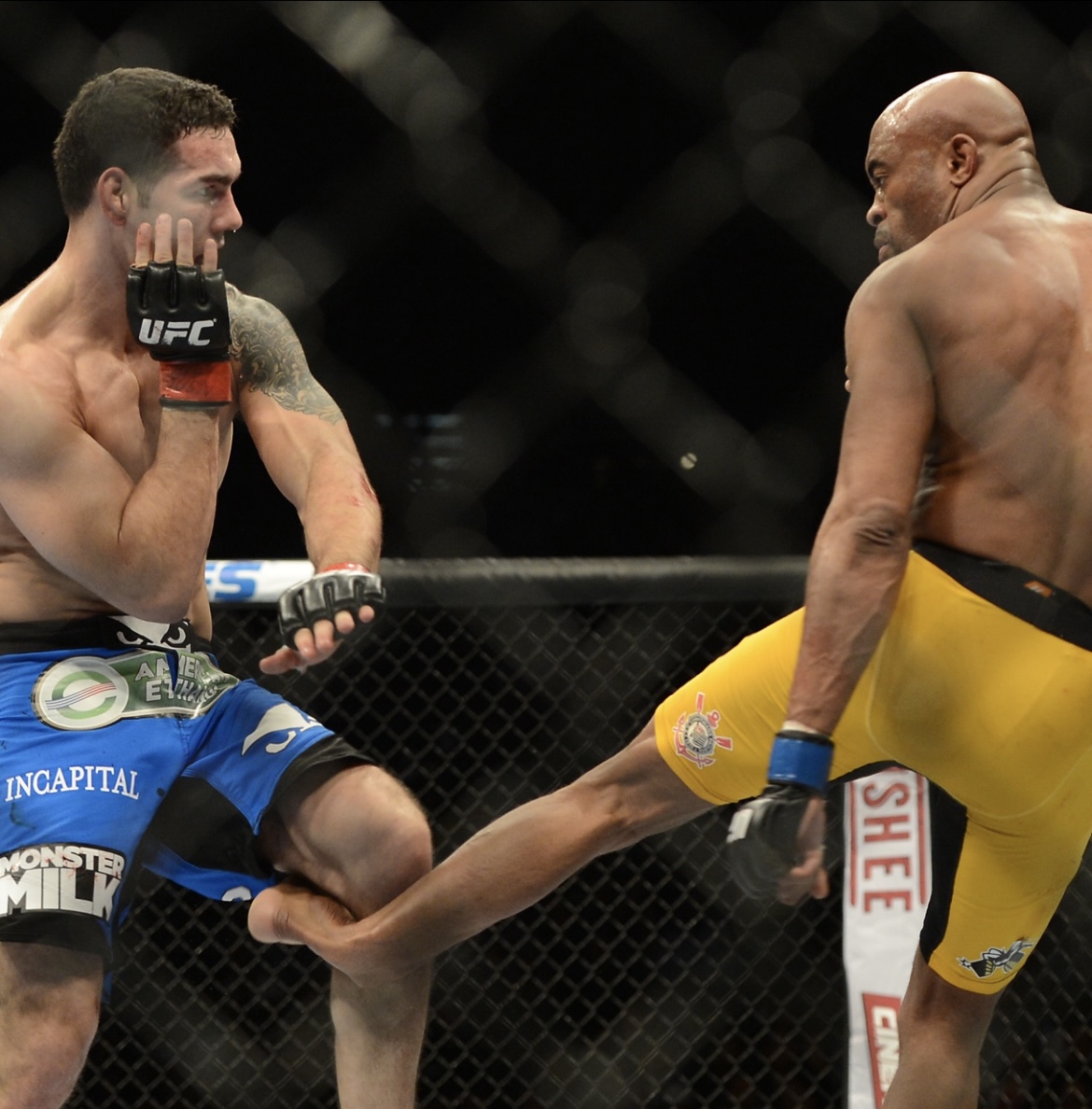 IMG-8002.jpg
