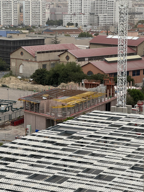IMG 3646