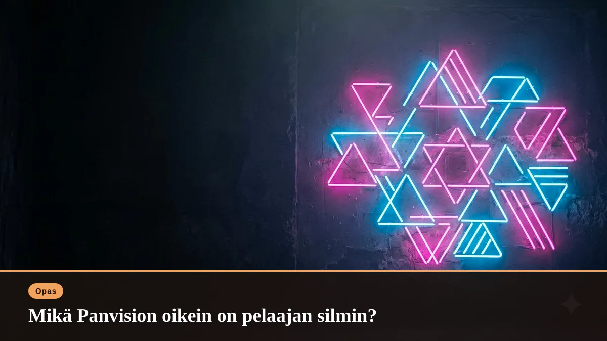 Mikä Panvision oikein on pelaajan silmin?