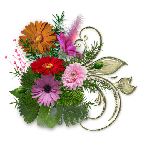 67137d45b4e91e11fede803e229c8a8d.png