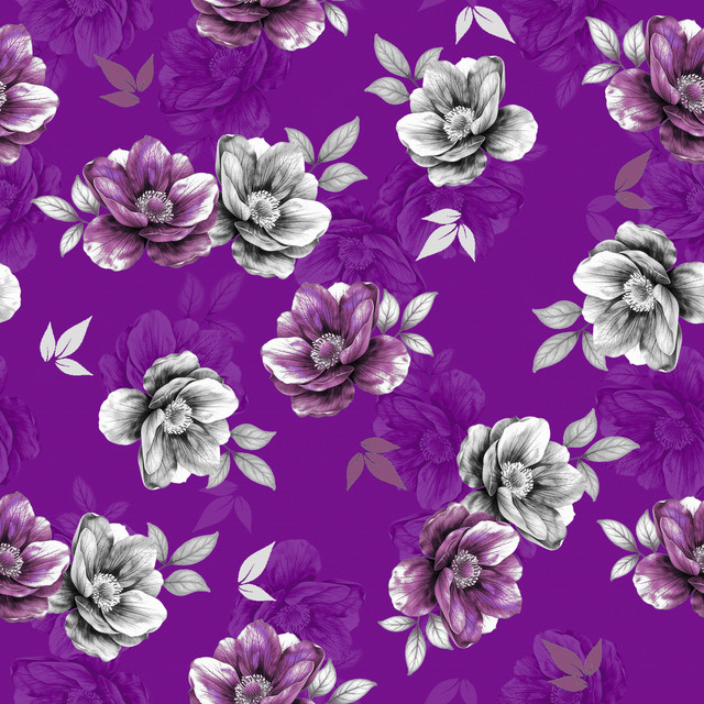 sasaas.jpg