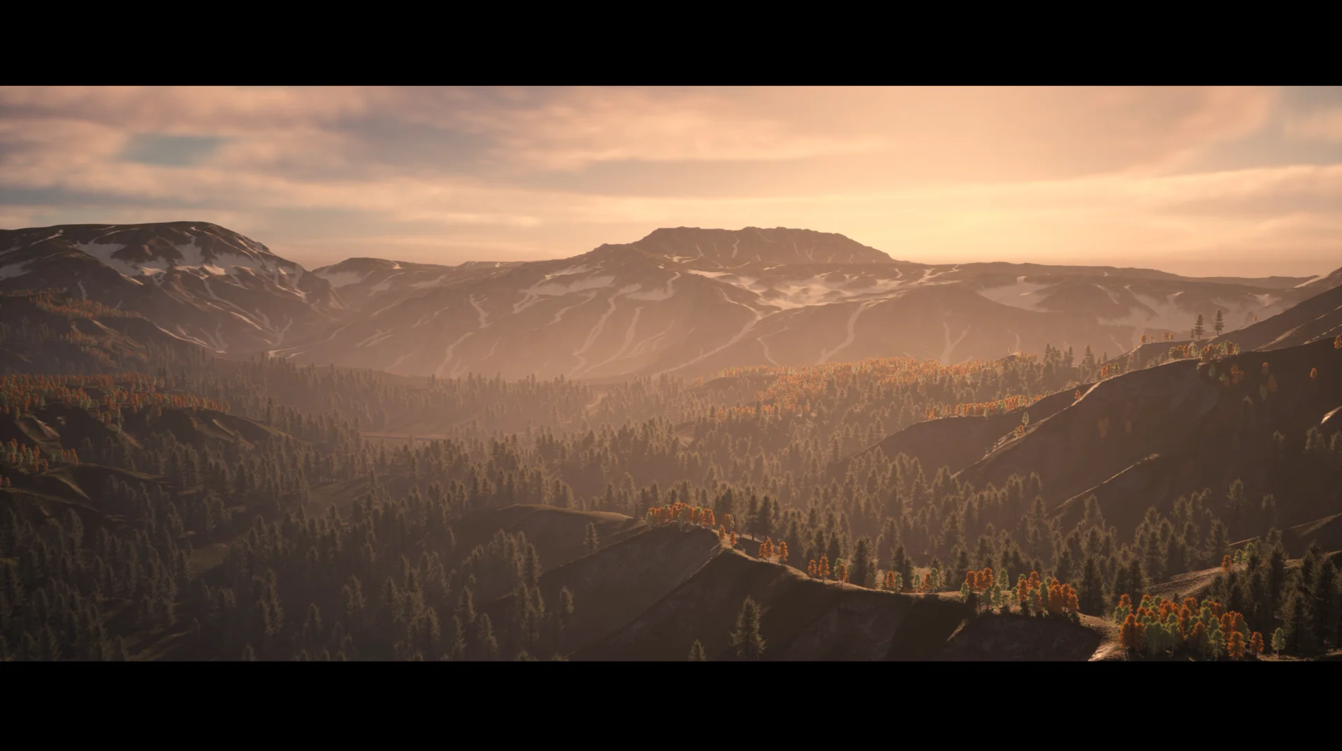 Drone Shot