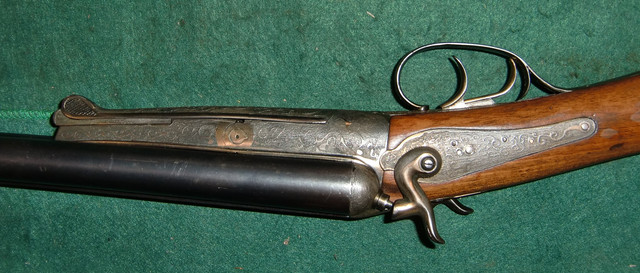 CIMG1009