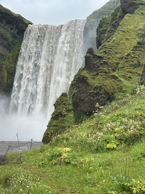 IMG-6160