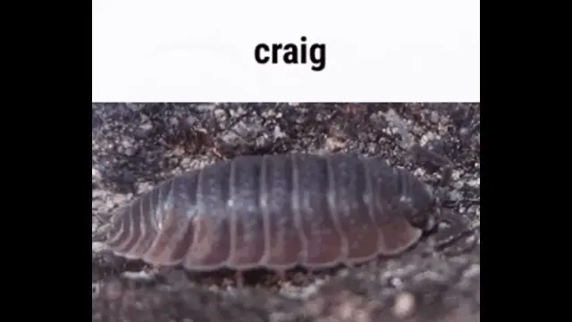 craig