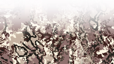 68d082d0c4e2d99763c81e6759013cb2.png