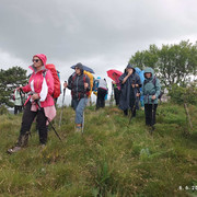IMG 2681