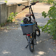 IMG 6130