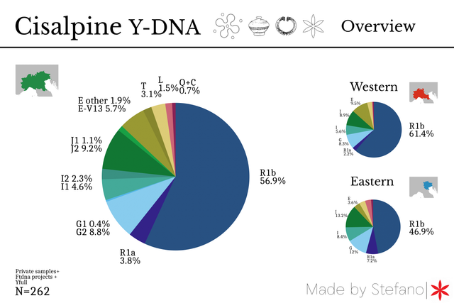 1Cisalpine ydna