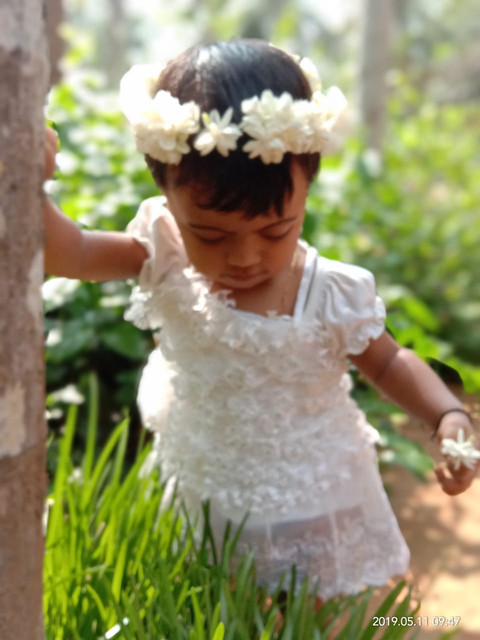 b4d92330bd66.jpg