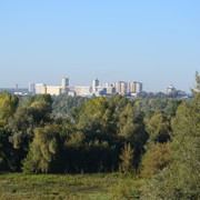 DSC 0010