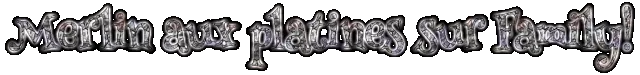 VERT Merlinauxplatinessu.webp