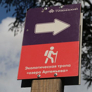 IMG 0458