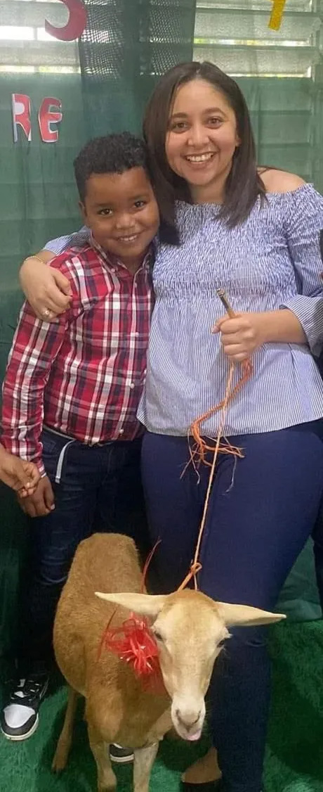 elcimaamdams