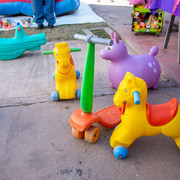 DSC6079