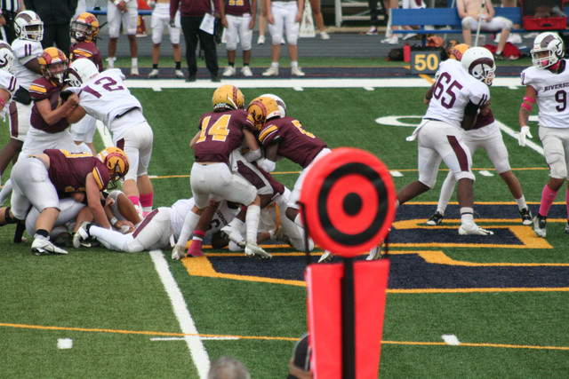 IMG-9133.jpg