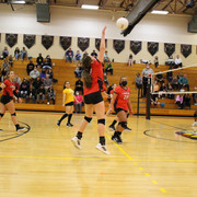 IMG-0217