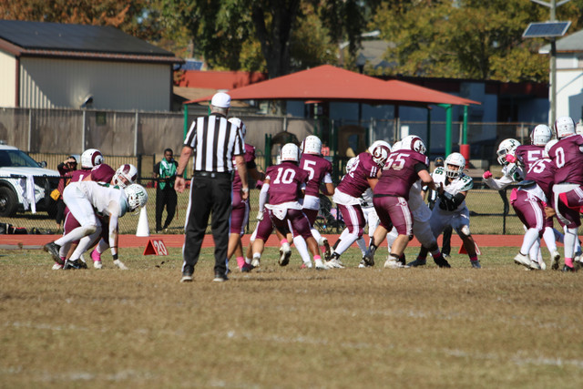 IMG-8076.jpg