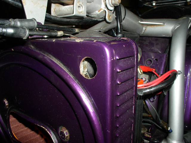 OLYMPUS-DIGITAL-CAMERA