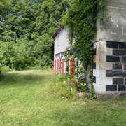 IMG-1541