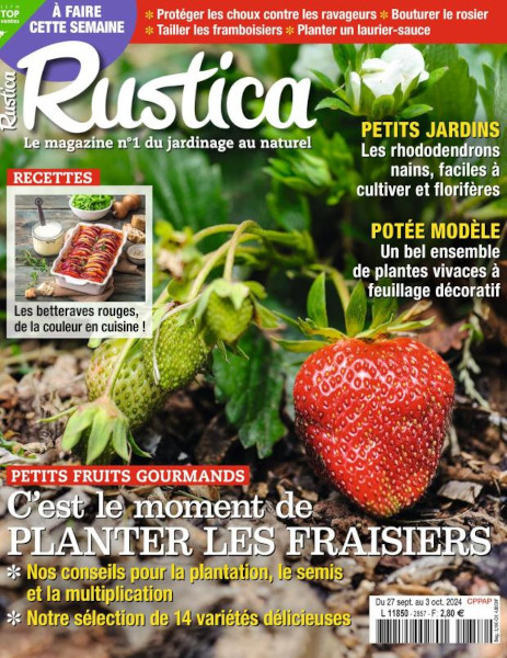 rustica.jpg
