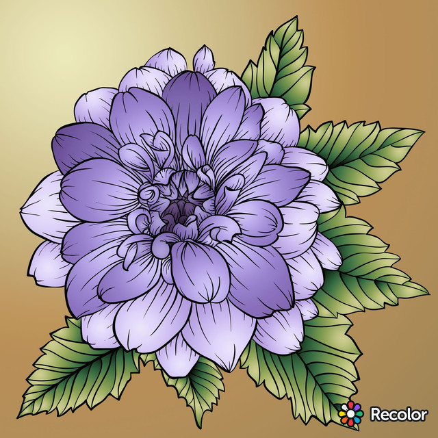 a7a449092d6dba010dbf9149fec00bff.jpg