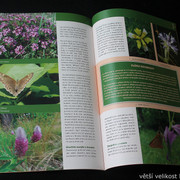IMG-0587