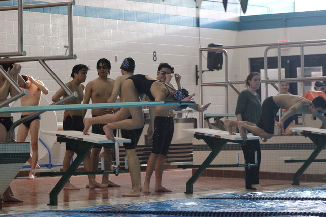 IMG-0204