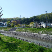 DSC-0071