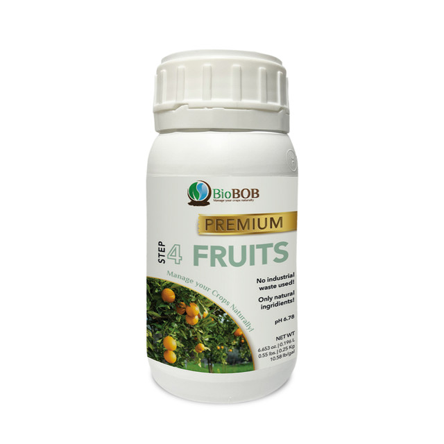 Fruits-6.jpg
