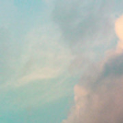VF-bb15